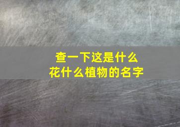 查一下这是什么花什么植物的名字