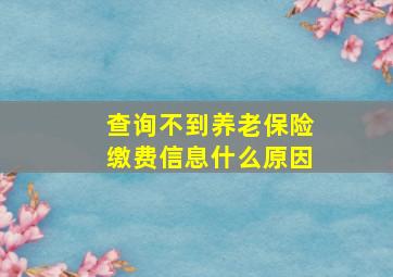 查询不到养老保险缴费信息什么原因