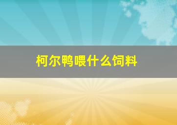 柯尔鸭喂什么饲料