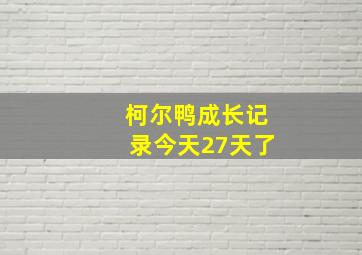 柯尔鸭成长记录今天27天了