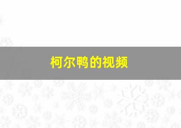 柯尔鸭的视频