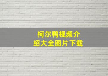 柯尔鸭视频介绍大全图片下载