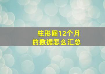 柱形图12个月的数据怎么汇总