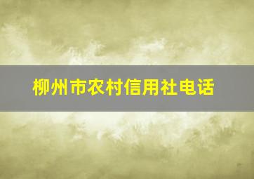 柳州市农村信用社电话