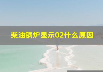 柴油锅炉显示02什么原因