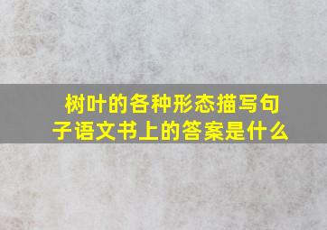 树叶的各种形态描写句子语文书上的答案是什么