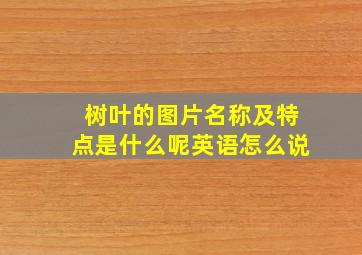 树叶的图片名称及特点是什么呢英语怎么说