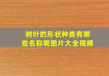 树叶的形状种类有哪些名称呢图片大全视频