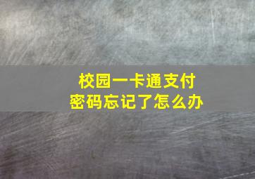 校园一卡通支付密码忘记了怎么办