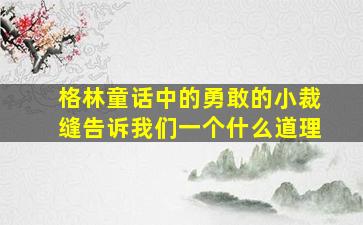 格林童话中的勇敢的小裁缝告诉我们一个什么道理