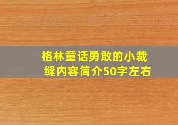 格林童话勇敢的小裁缝内容简介50字左右