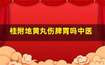 桂附地黄丸伤脾胃吗中医