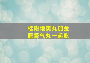 桂附地黄丸加金匮肾气丸一起吃