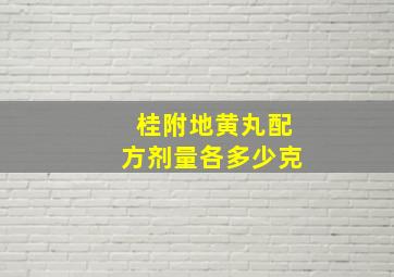 桂附地黄丸配方剂量各多少克