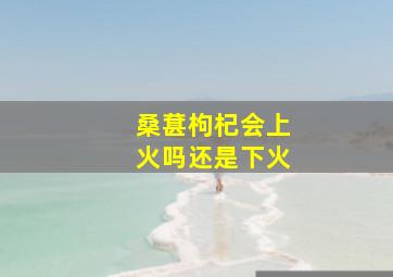 桑葚枸杞会上火吗还是下火