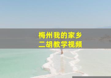 梅州我的家乡二胡教学视频