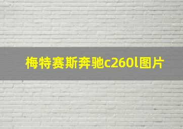 梅特赛斯奔驰c260l图片