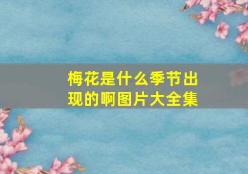 梅花是什么季节出现的啊图片大全集