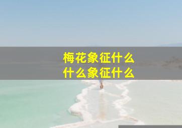 梅花象征什么什么象征什么