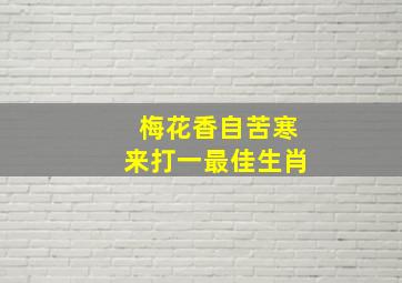 梅花香自苦寒来打一最佳生肖