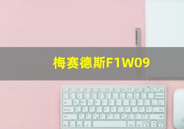 梅赛德斯F1W09