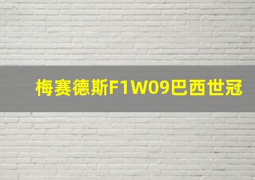 梅赛德斯F1W09巴西世冠