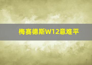 梅赛德斯W12意难平