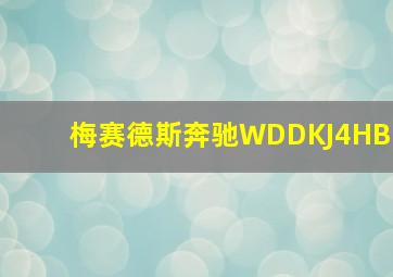 梅赛德斯奔驰WDDKJ4HB