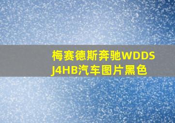 梅赛德斯奔驰WDDSJ4HB汽车图片黑色