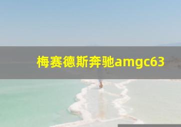 梅赛德斯奔驰amgc63