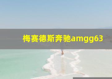 梅赛德斯奔驰amgg63