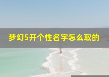 梦幻5开个性名字怎么取的