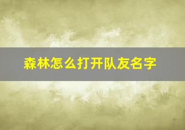 森林怎么打开队友名字