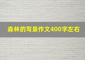 森林的写景作文400字左右