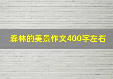 森林的美景作文400字左右