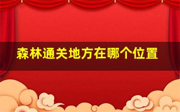 森林通关地方在哪个位置