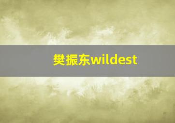 樊振东wildest