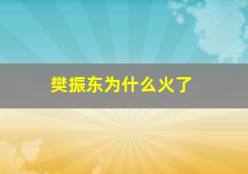 樊振东为什么火了