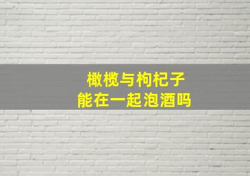 橄榄与枸杞子能在一起泡酒吗