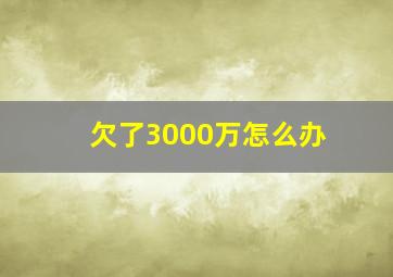 欠了3000万怎么办