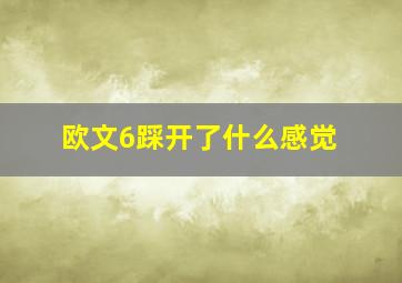 欧文6踩开了什么感觉