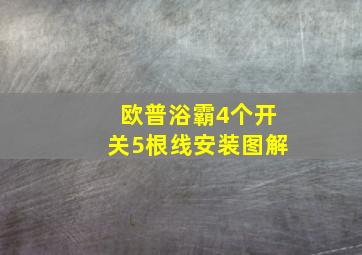 欧普浴霸4个开关5根线安装图解