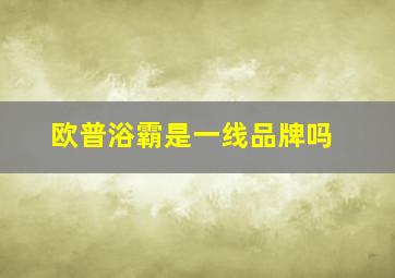 欧普浴霸是一线品牌吗