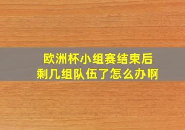 欧洲杯小组赛结束后剩几组队伍了怎么办啊