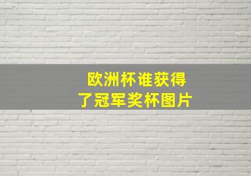 欧洲杯谁获得了冠军奖杯图片