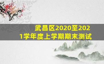 武昌区2020至2021学年度上学期期末测试