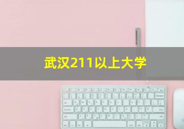 武汉211以上大学