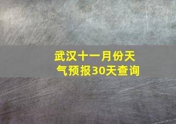 武汉十一月份天气预报30天查询