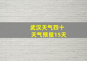 武汉天气四十天气预报15天