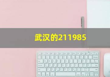 武汉的211985